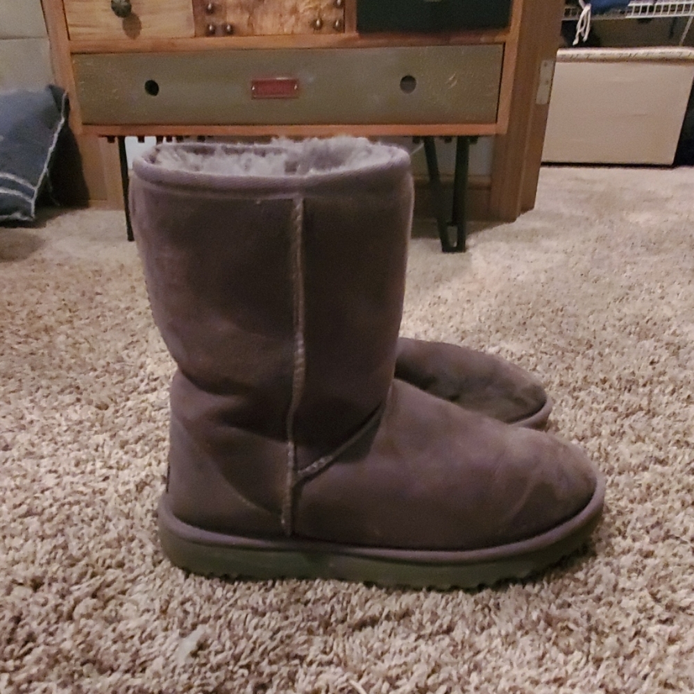 Grey uggs